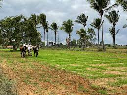 3 Acre Agricultural/Farm Land for Sale in Devanahalli, Bangalore