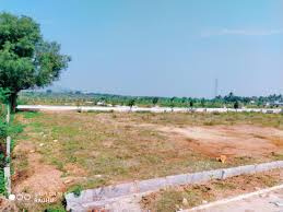 37 Acre Agricultural/Farm Land for Sale in Devanahalli, Bangalore