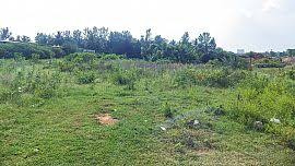 65 Cent Residential Plot for Sale in Chittur, Palakkad