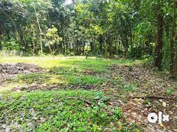 15 Cent Residential Plot for Sale in Thrissur