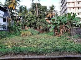 5 Cent Residential Plot for Sale in Vadakkencherry, Palakkad