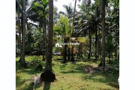 5 Cent Residential Plot for Sale in Chittoor, Palakkad