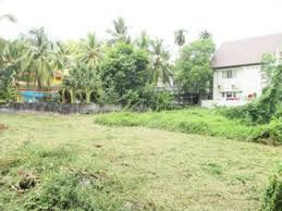 5 Cent Residential Plot for Sale in Kannadi, Palakkad