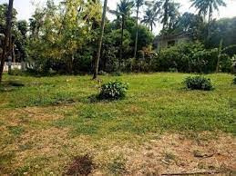 3 Cent Residential Plot for Sale in Mankavu, Palakkad