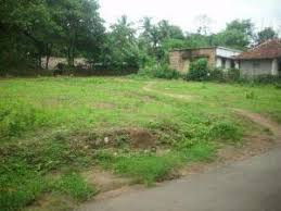 2.38 Acre Residential Plot for Sale in Walayar, Palakkad
