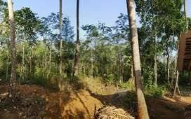 25 Cent Residential Plot for Sale in Ottapalam, Palakkad