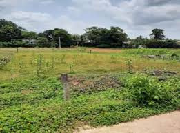 35 Cent Residential Plot for Sale in Palakkad