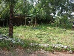 40 Cent Commercial Lands /Inst. Land for Sale in Nallepilly, Palakkad
