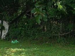 1.3 Acre Residential Plot for Sale in Palakkad