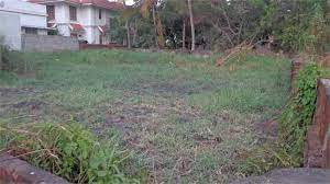 4 Cent Residential Plot for Sale in Palakkad