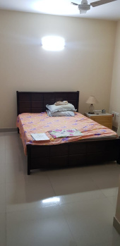 4 BHK Flats & Apartments for Rent in Ulsoor, Bangalore (3000 Sq.ft.)