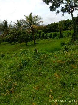 1 Acre Residential Plot for Sale in Kollengode, Palakkad
