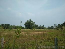 45 Cent Residential Plot for Sale in Palakkad