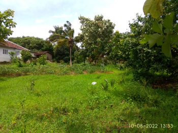 3 Acre Residential Plot for Sale in Kollengode, Palakkad