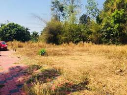15 Cent Residential Plot for Sale in Peruvemba, Palakkad