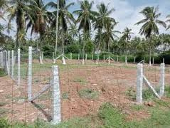 10 Cent Residential Plot for Sale in Palakkad