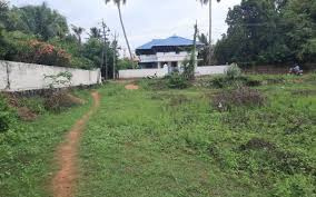 14 Cent Residential Plot for Sale in Palakkad