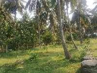1 Acre Agricultural/Farm Land for Sale in Kongad, Palakkad