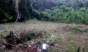 8 Cent Residential Plot for Sale in Ottapalam, Palakkad