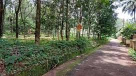 40 Cent Commercial Lands /Inst. Land for Sale in Chittur, Palakkad
