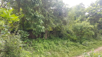 3.90 Acre Residential Plot for Sale in Vadakkencherry, Palakkad