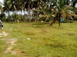 2 BHK Individual Houses / Villas for Sale in Vadakkencherry, Palakkad (5 Cent)