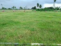 2.38 Acre Residential Plot for Sale in Kollengode, Palakkad