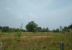 12 Cent Residential Plot for Sale in Mannarkkad, Palakkad