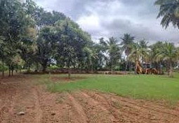 12 Cent Residential Plot for Sale in Ottapalam, Palakkad