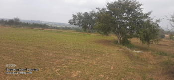 20 Cent Residential Plot for Sale in Ottapalam, Palakkad