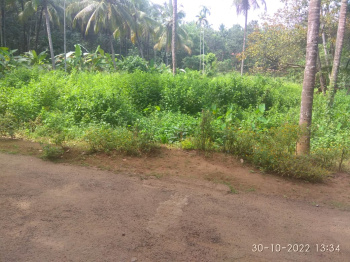 50 Cent Residential Plot for Sale in Parali, Palakkad