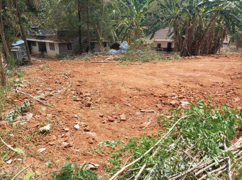 14.30 Cent Residential Plot for Sale in Palakkad
