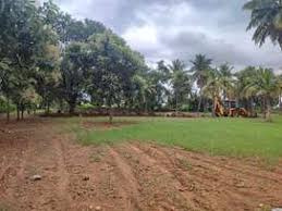 39 Cent Residential Plot for Sale in Nemmara, Palakkad