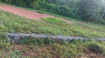 1 Acre Residential Plot for Sale in Chittoor, Palakkad