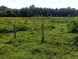 4 Acre Agricultural/Farm Land for Sale in Udumalai/udumalpet, Coimbatore