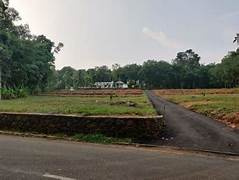 2 Acre Residential Plot for Sale in Vadakkencherry, Palakkad