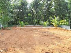 7 Cent Residential Plot for Sale in Alathur, Palakkad