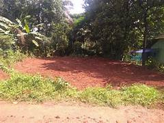 2 Acre Residential Plot for Sale in Vadakkencherry, Palakkad