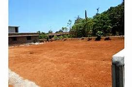 1.65 Acre Residential Plot for Sale in Ottapalam, Palakkad