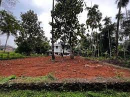 9 Cent Residential Plot for Sale in Mundur, Palakkad