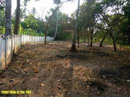 20 Cent Residential Plot for Sale in Kunissery, Palakkad