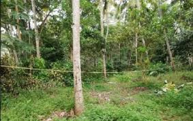 170 Cent Agricultural/Farm Land for Sale in Chittur, Palakkad