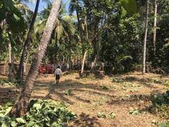 10 Cent Residential Plot for Sale in Kozhinjampara, Palakkad