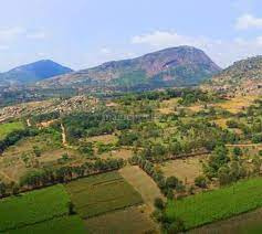 Residential Plot for Sale in Nandi Hills, Bangalore (1500 Sq.ft.)