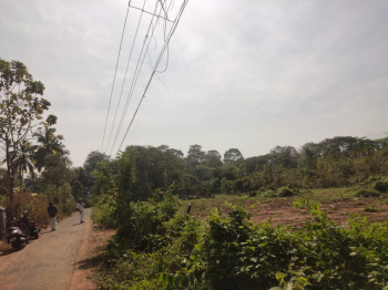 40 Cent Industrial Land / Plot for Sale in Puthunagaram, Palakkad