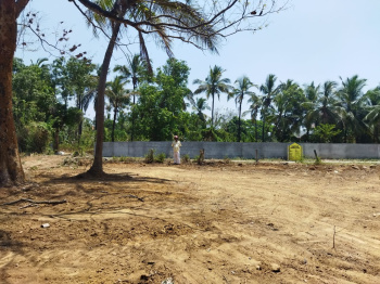 9 Cent Residential Plot for Sale in Vadakkencherry, Palakkad