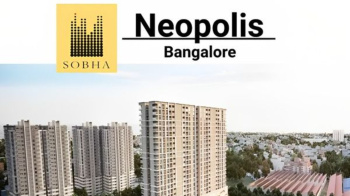 3 BHK Flats & Apartments for Sale in Banashankari, Bangalore (1630 Sq.ft.)