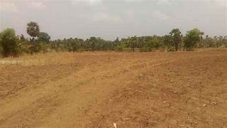 72 Acre Industrial Land / Plot for Sale in Kozhippara, Palakkad