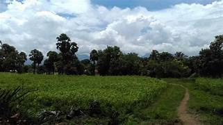 2 Acre Industrial Land / Plot for Sale in Kozhinjampara, Palakkad