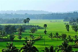 9.75 Cent Agricultural/Farm Land for Sale in Eruthempathy, Palakkad